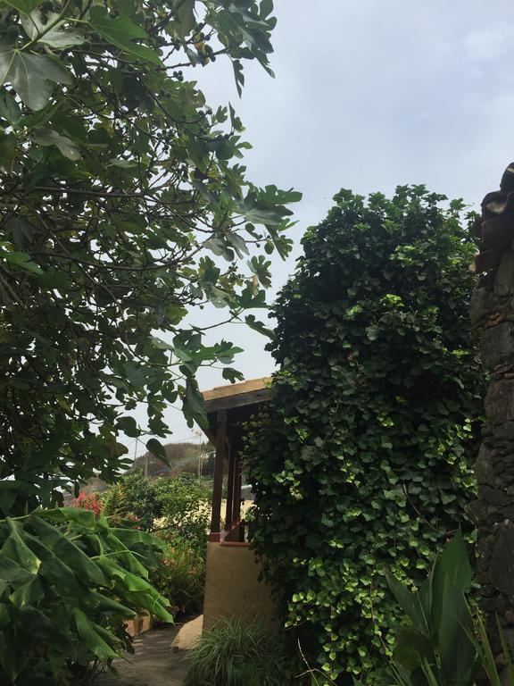 Casa Rural Las Rosas Agulo Ngoại thất bức ảnh